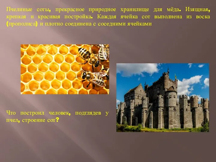 Пчелиные соты, прекрасное природное хранилище для мёда. Изящная, крепкая и красивая постройка. Каждая