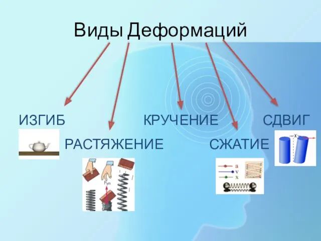 Виды Деформаций ИЗГИБ РАСТЯЖЕНИЕ КРУЧЕНИЕ СЖАТИЕ СДВИГ