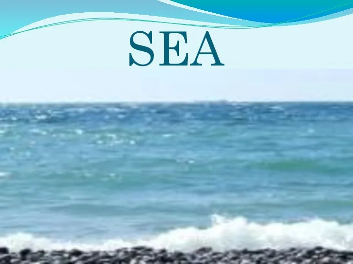 SEA