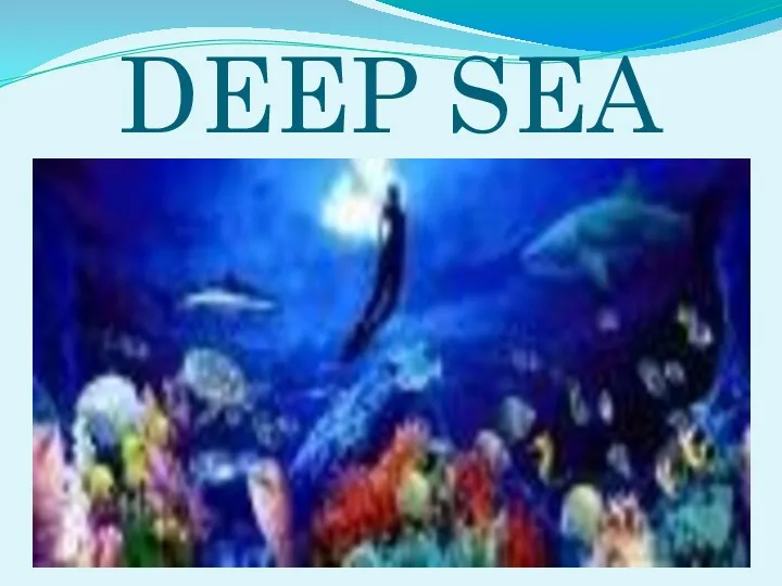 DEEP SEA