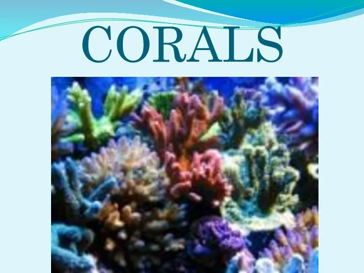 CORALS