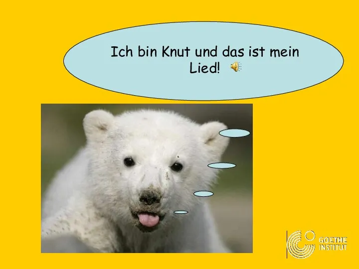 Ich bin Knut und das ist mein Lied!