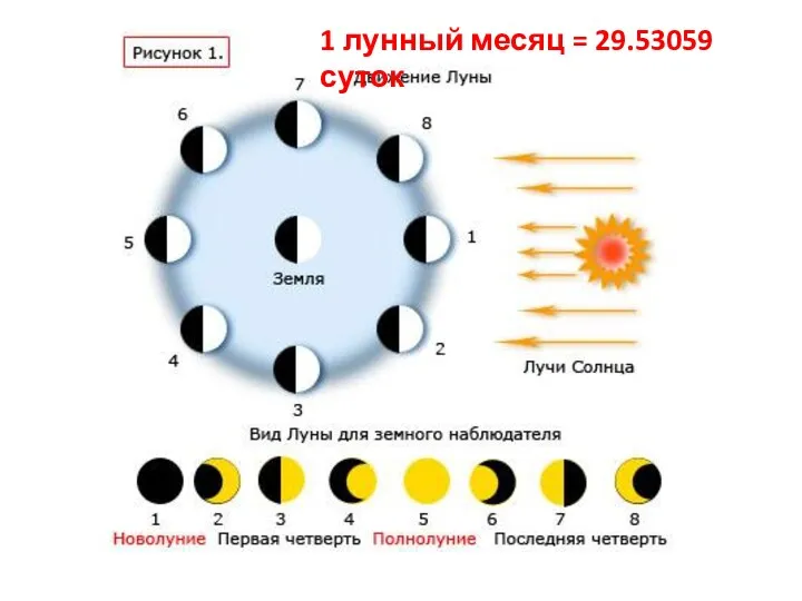 1 лунный месяц = 29.53059 суток