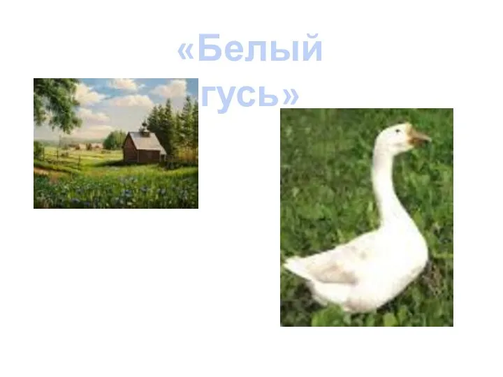 «Белый гусь»