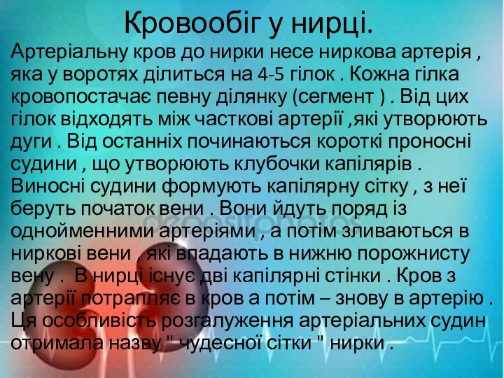 Кровообіг у нирці. Артеріальну кров до нирки несе ниркова артерія