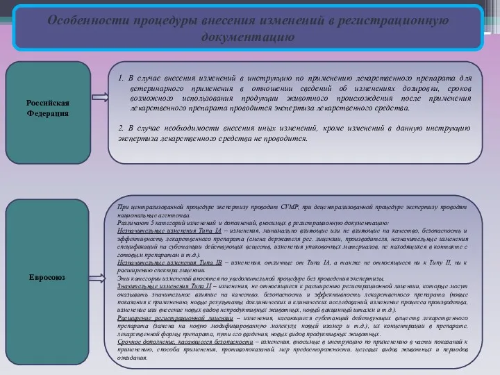 Особенности процедуры внесения изменений в регистрационную документацию Российская Федерация Евросоюз