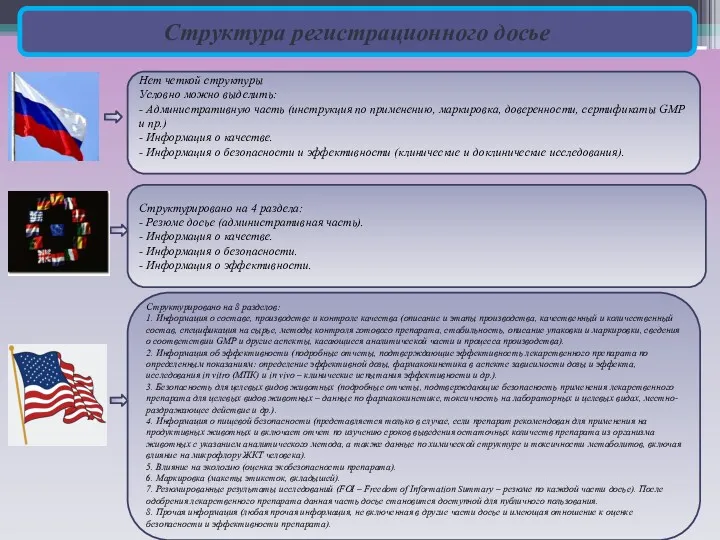 Структура регистрационного досье Нет четкой структуры Условно можно выделить: -