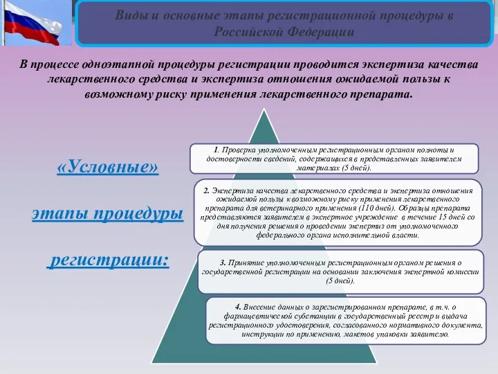 Виды и основные этапы регистрационной процедуры в Российской Федерации В