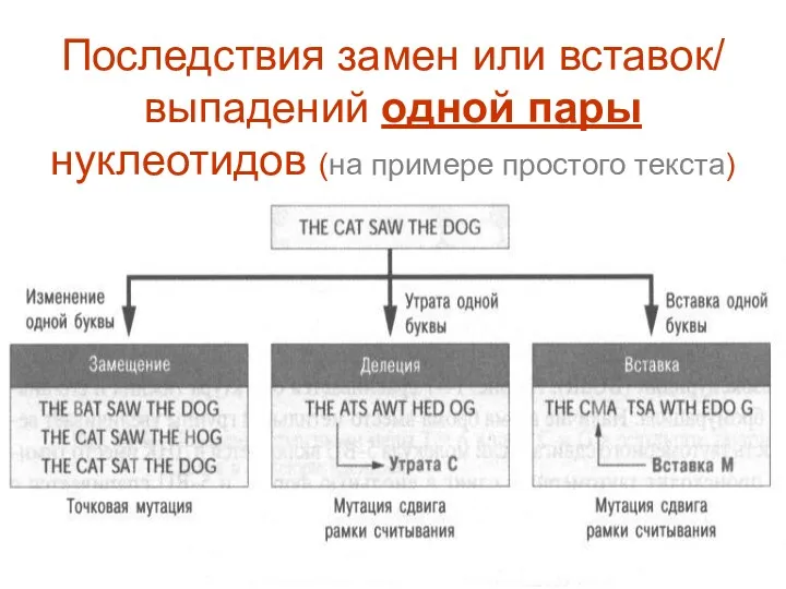 Последствия замен или вставок/ выпадений одной пары нуклеотидов (на примере простого текста)