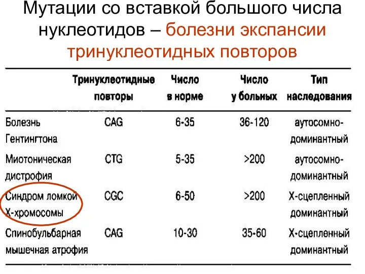 Мутации со вставкой большого числа нуклеотидов – болезни экспансии тринуклеотидных повторов