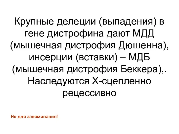 Крупные делеции (выпадения) в гене дистрофина дают МДД (мышечная дистрофия