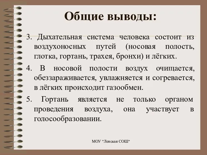 Общие выводы: 3. Дыхательная система человека состоит из воздухоносных путей