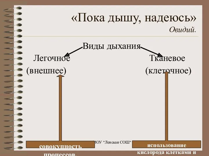 «Пока дышу, надеюсь» Овидий. Виды дыхания Легочное Тканевое (внешнее) (клеточное)