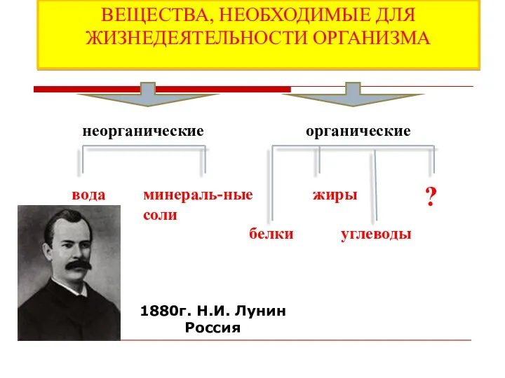 ВЕЩЕСТВА, НЕОБХОДИМЫЕ ДЛЯ ЖИЗНЕДЕЯТЕЛЬНОСТИ ОРГАНИЗМА ВЕЩЕСТВА, НЕОБХОДИМЫЕ ДЛЯ ЖИЗНЕДЕЯТЕЛЬНОСТИ ОРГАНИЗМА