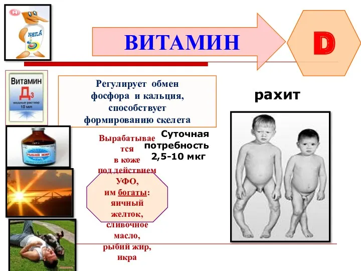 ВИТАМИН D Регулирует обмен фосфора и кальция, способствует формированию скелета