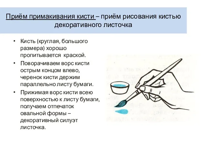 Приём примакивания кисти – приём рисования кистью декоративного листочка Кисть