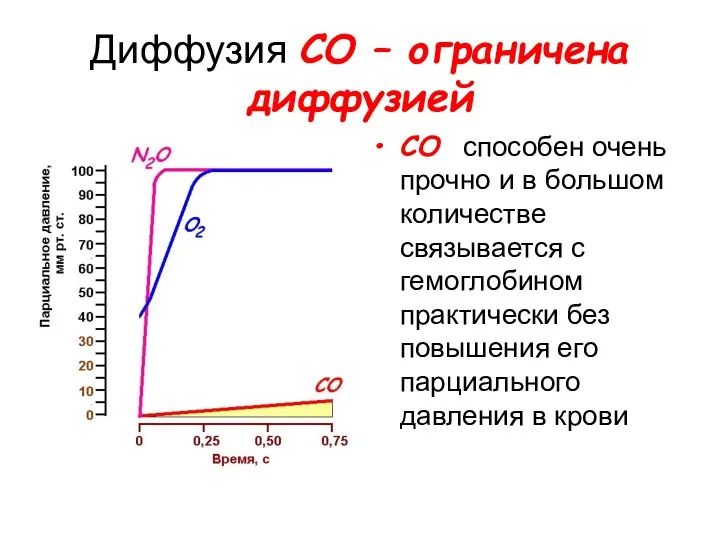 Диффузия CO – ограничена диффузией CO способен очень прочно и в большом количестве