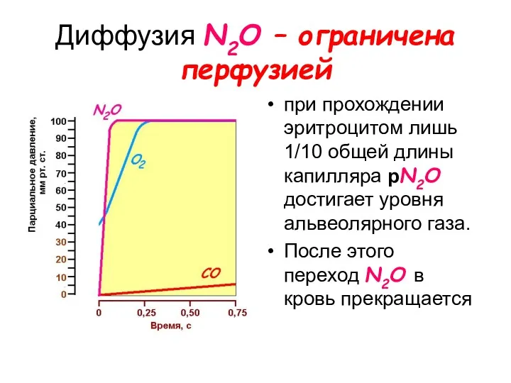 Диффузия N2O – ограничена перфузией при прохождении эритроцитом лишь 1/10 общей длины капилляра