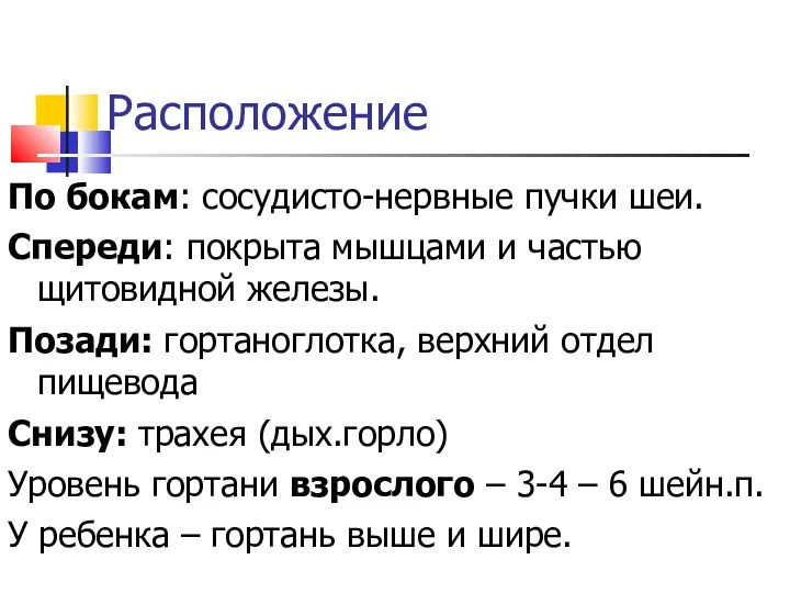 Расположение По бокам: сосудисто-нервные пучки шеи. Спереди: покрыта мышцами и