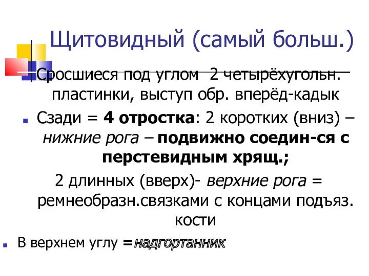 Щитовидный (самый больш.) Сросшиеся под углом 2 четырёхугольн. пластинки, выступ