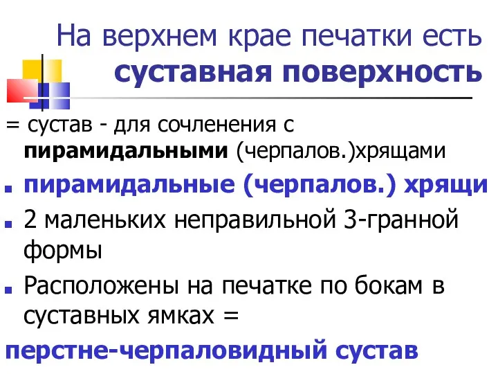 На верхнем крае печатки есть суставная поверхность = сустав -