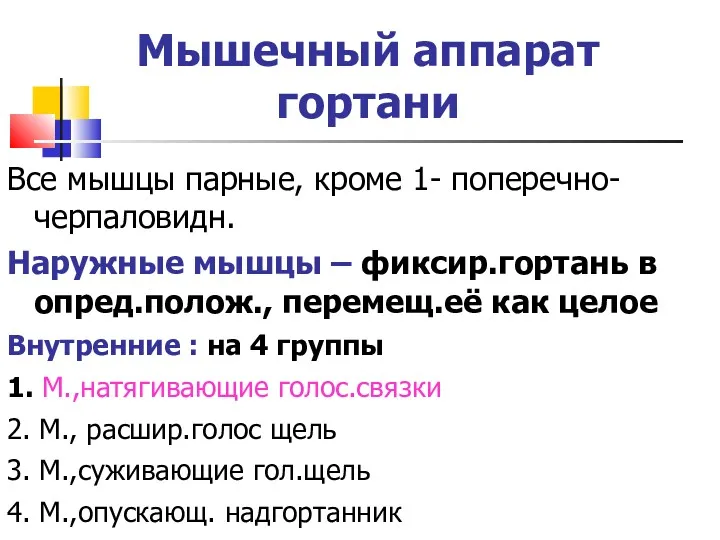 Мышечный аппарат гортани Все мышцы парные, кроме 1- поперечно-черпаловидн. Наружные