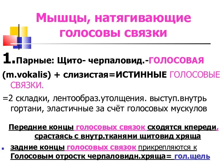 Мышцы, натягивающие голосовы связки 1.Парные: Щито- черпаловид.-ГОЛОСОВАЯ (m.vokalis) + слизистая=ИСТИННЫЕ