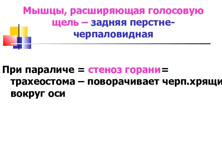 Мышцы, расширяющая голосовую щель – задняя перстне-черпаловидная При параличе =