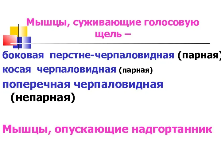 Мышцы, суживающие голосовую щель – боковая перстне-черпаловидная (парная) косая черпаловидная