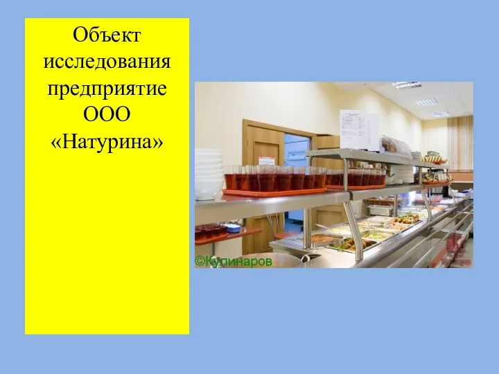 Объект исследования предприятие ООО «Натурина»