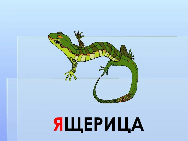 ЯЩЕРИЦА