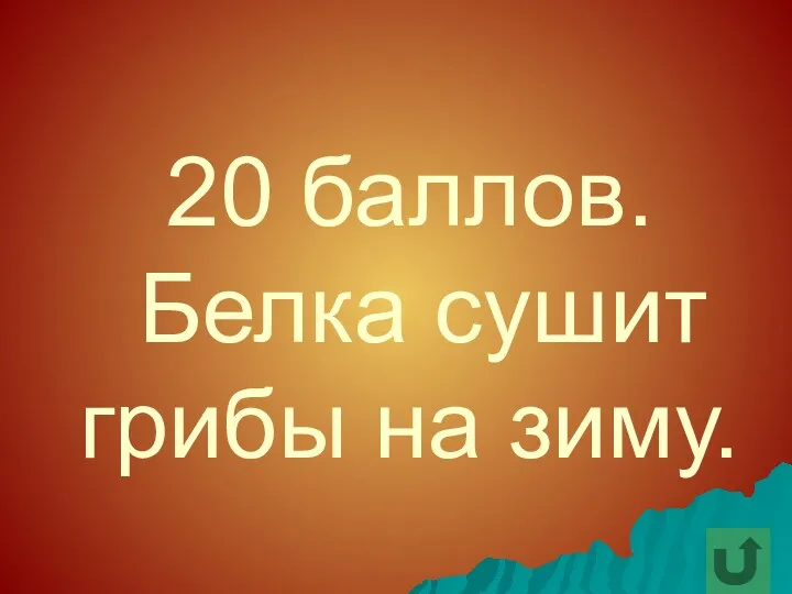 20 баллов. Белка сушит грибы на зиму.