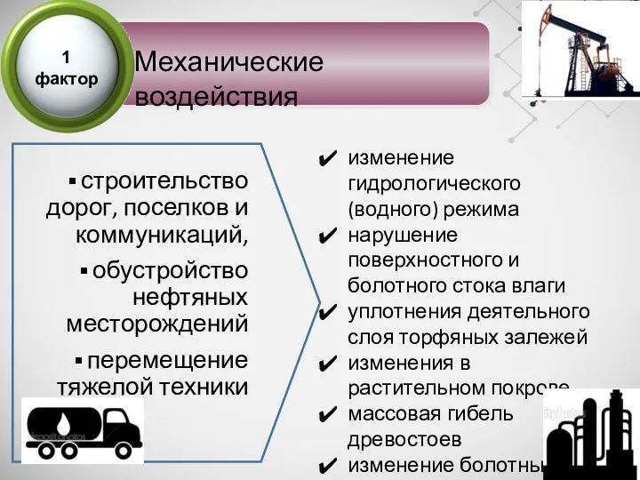 Механические воздействия строительство дорог, поселков и коммуникаций, обустройство нефтяных месторождений