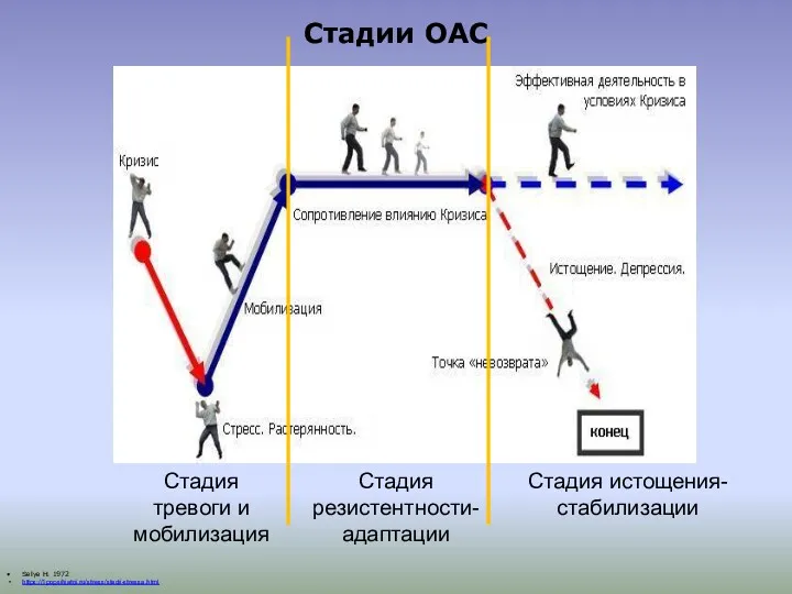 Стадии ОАС Selye H. 1972 https://1popsihiatrii.ru/stress/stadii-stressa.html Стадия тревоги и мобилизация Стадия резистентности-адаптации Стадия истощения-стабилизации