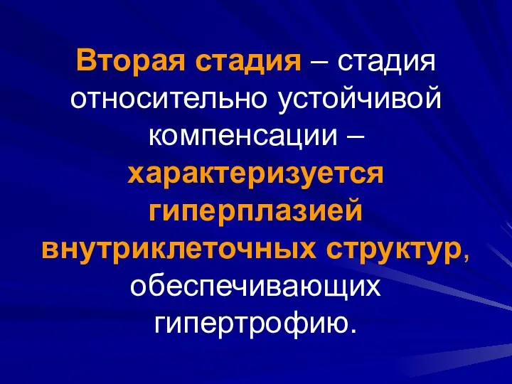 Вторая стадия – стадия относительно устойчивой компенсации – характеризуется гиперплазией внутриклеточных структур, обеспечивающих гипертрофию.