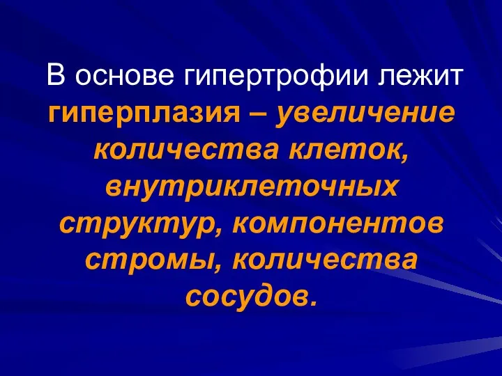 В основе гипертрофии лежит гиперплазия – увеличение количества клеток, внутриклеточных структур, компонентов стромы, количества сосудов.