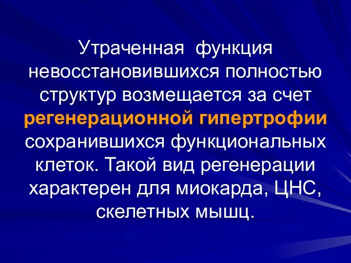 Утраченная функция невосстановившихся полностью структур возмещается за счет регенерационной гипертрофии