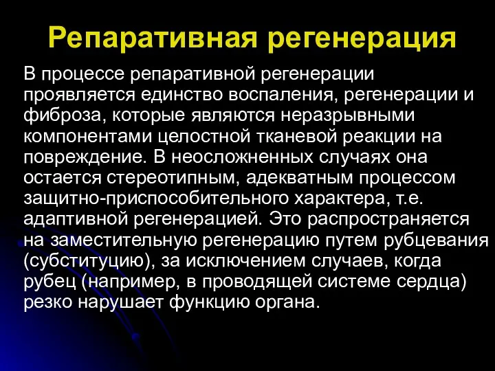 Репаративная регенерация В процессе репаративной регенерации проявляется единство воспаления, регенерации