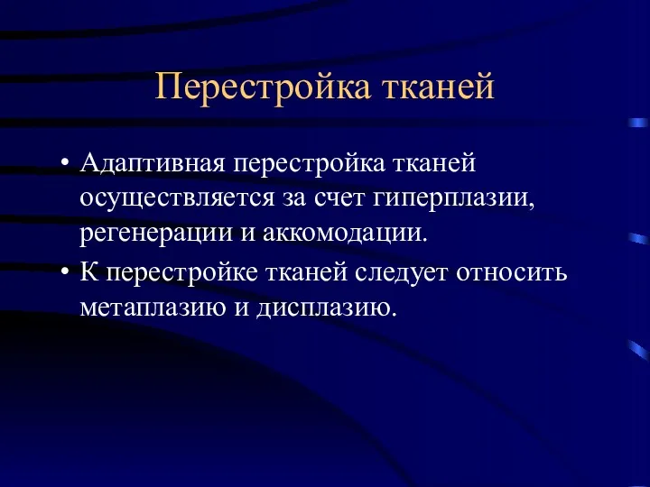 Перестройка тканей Адаптивная перестройка тканей осуществляется за счет гиперплазии, регенерации