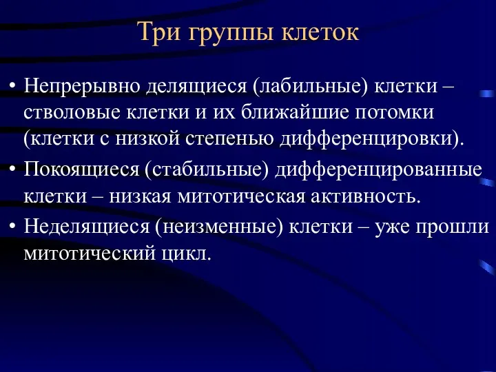 Три группы клеток Непрерывно делящиеся (лабильные) клетки – стволовые клетки