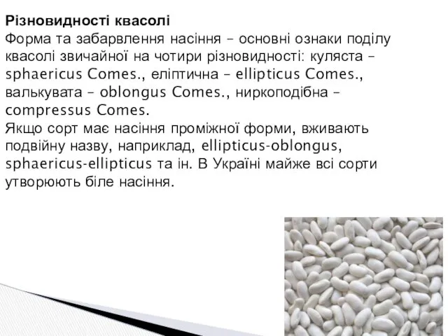 Різновидності квасолі Форма та забарвлення насіння – основні ознаки поділу