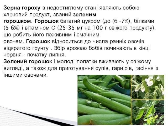 Зерна гороху в недостиглому стані являють собою харчовий продукт, званий