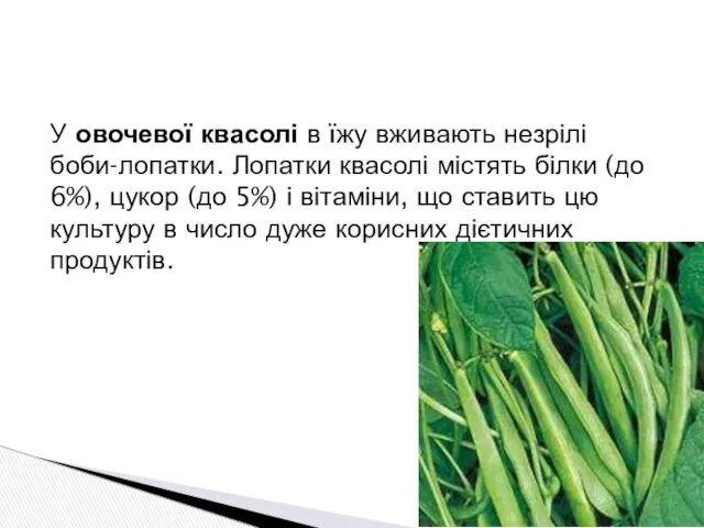 У овочевої квасолі в їжу вживають незрілі боби-лопатки. Лопатки квасолі