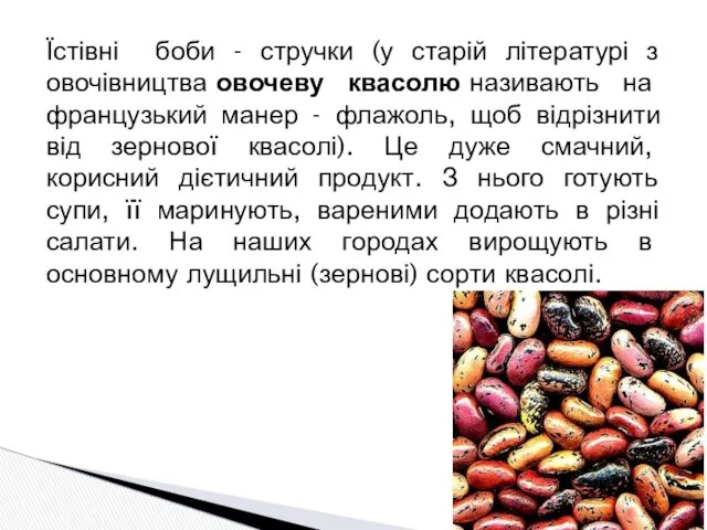 Їстівні боби - стручки (у старій літературі з овочівництва овочеву