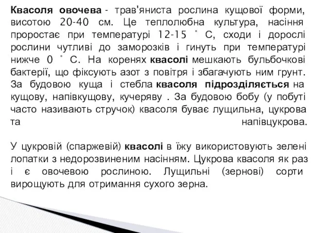 Квасоля овочева - трав'яниста рослина кущової форми, висотою 20-40 см.