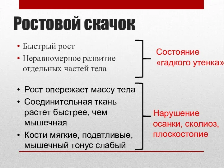 Ростовой скачок Быстрый рост Неравномерное развитие отдельных частей тела Рост