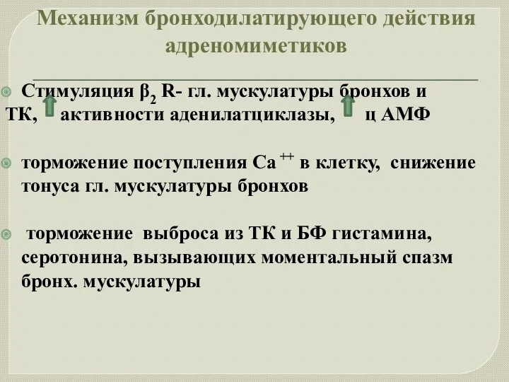 Механизм бронходилатирующего действия адреномиметиков Стимуляция β2 R- гл. мускулатуры бронхов