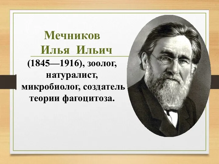 Мечников Илья Ильич (1845—1916), зоолог, натуралист, микробиолог, создатель теории фагоцитоза.
