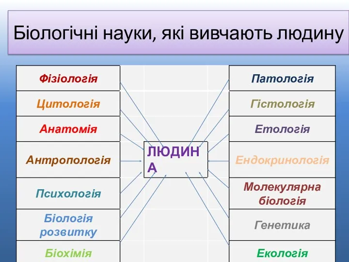 Біологічні науки, які вивчають людину