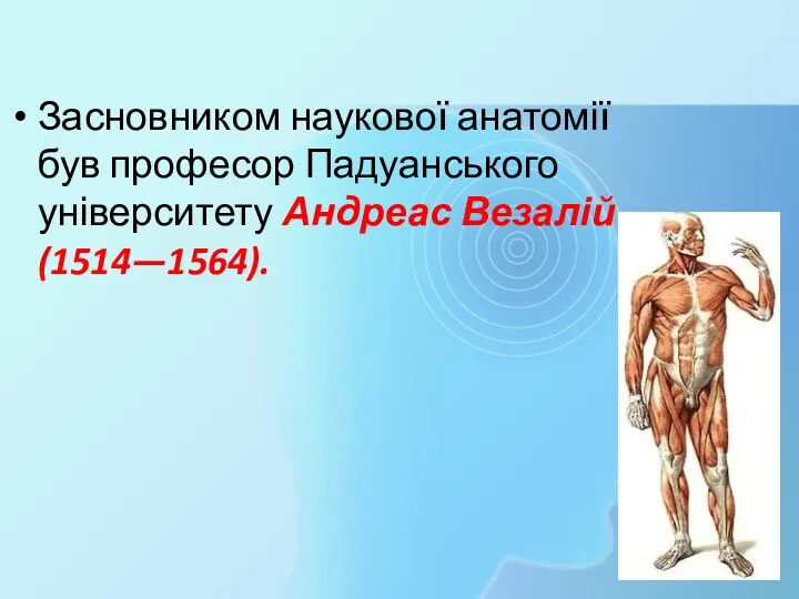Засновником наукової анатомії був професор Падуанського університету Андреас Везалій (1514—1564).